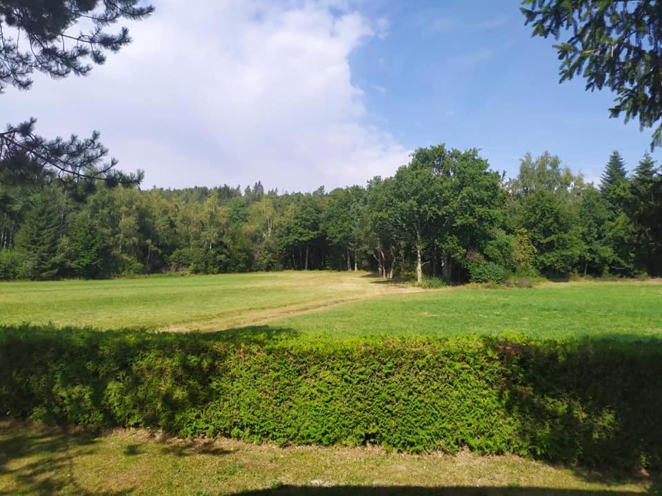 Chalet Du Spiemont Champdray Exterior foto